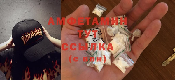 гидра Армянск