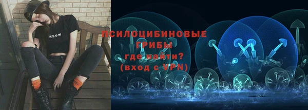гидра Армянск