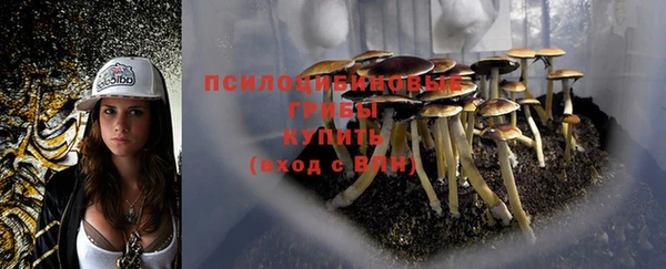 мяу мяу кристалл Арсеньев