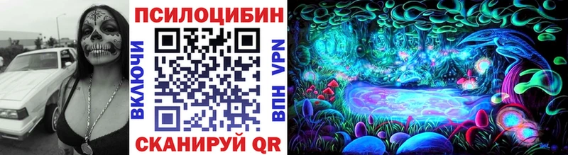 Купить  Павловский Посад  Псилоцибиновые грибы мухоморы 